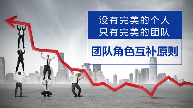 没有完美的个人,只有完美的团队:团队角色互补原则